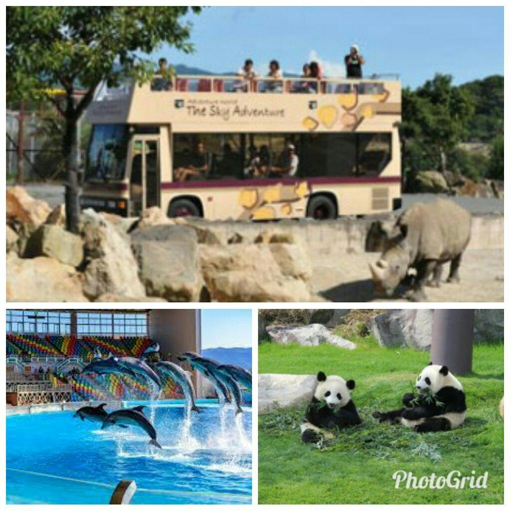 การท่องเที่ยว
