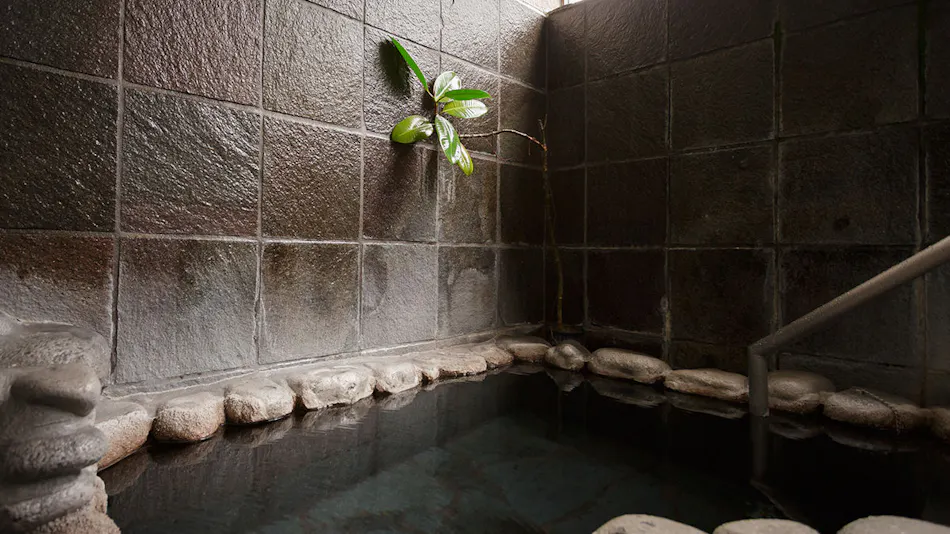 Country Inn Fumotoya
