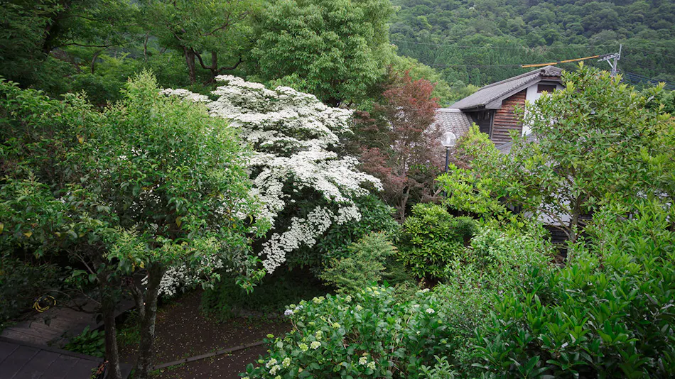 Country Inn Fumotoya