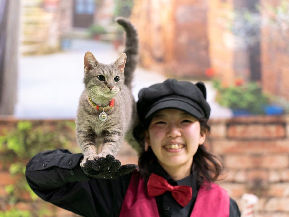 나스 동물 왕국