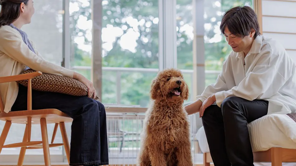 Wan Wan Paradise Premier Shiobara