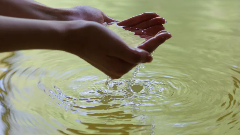 Wan Wan Paradise Premier Shiobara