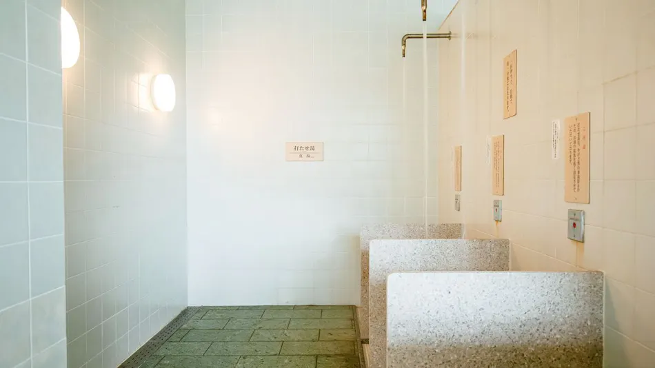 Kamenoi Hotel Kochi