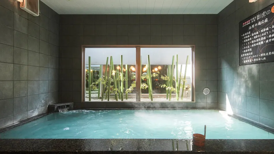 Natural Hot Spring Kagetora no Yu Super Hotel Arai Niigata