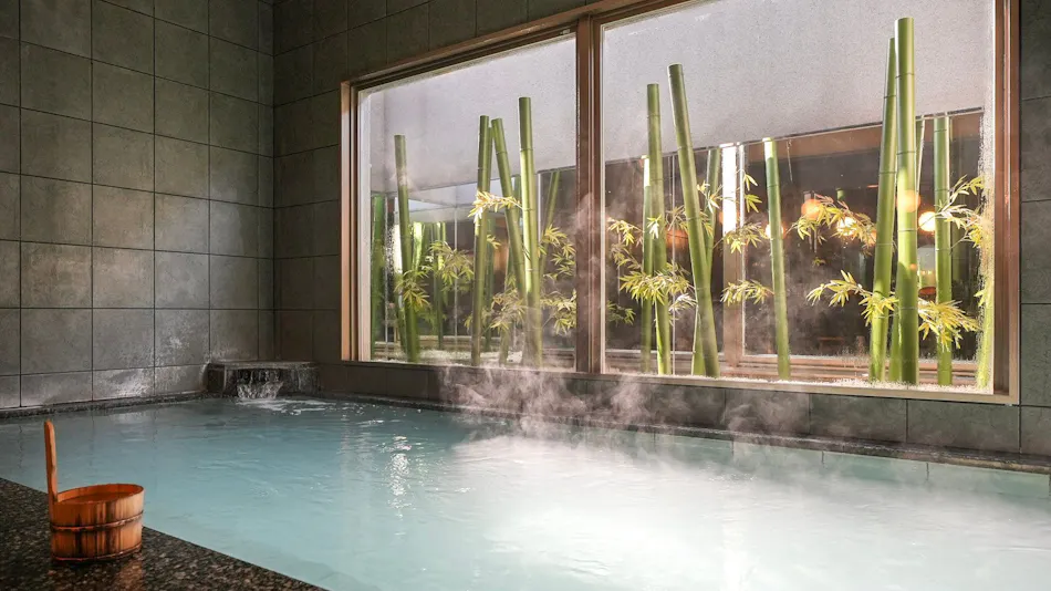 Natural Hot Spring Kagetora no Yu Super Hotel Arai Niigata
