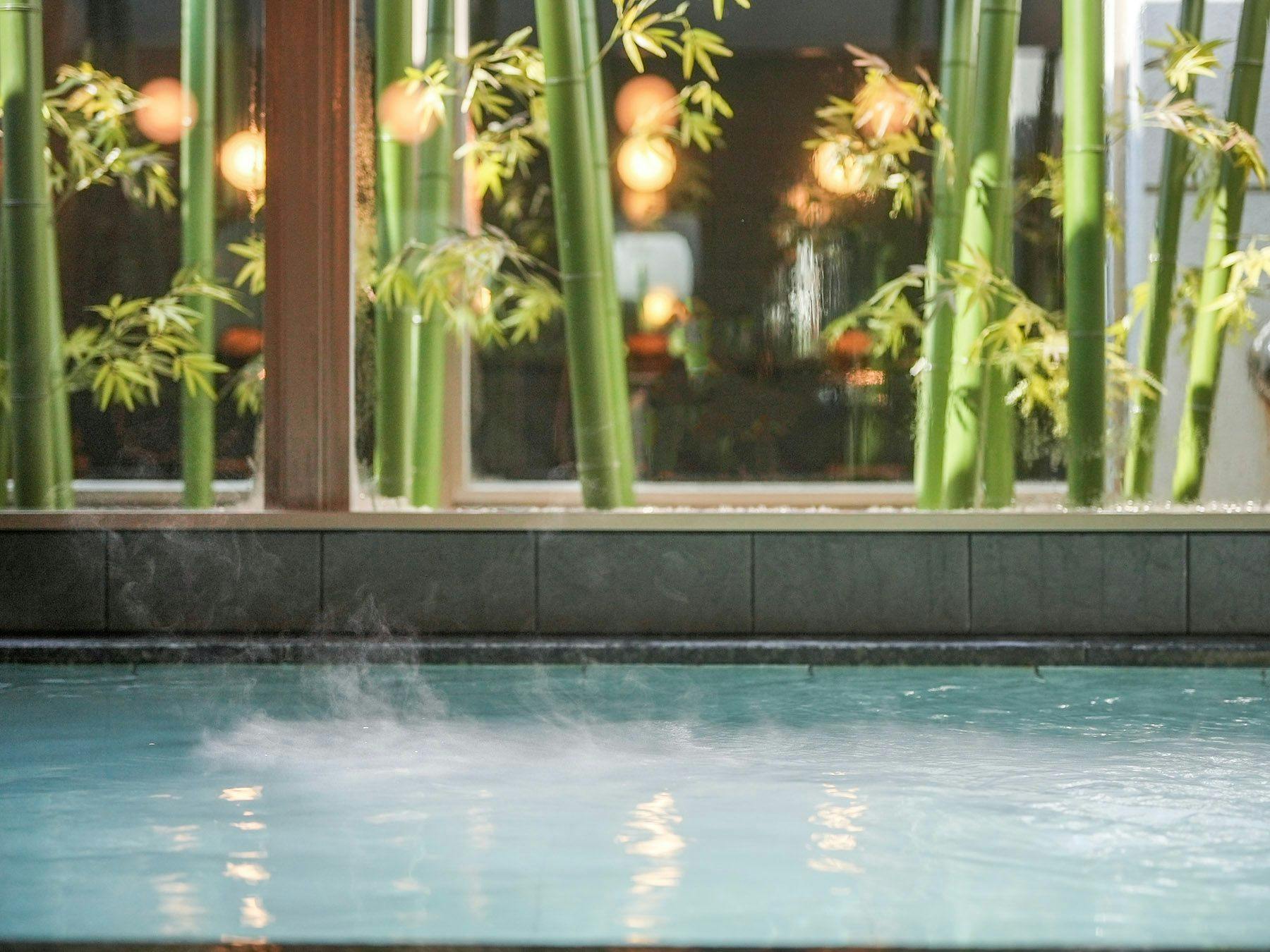 Natural Hot Spring Kagetora no Yu Super Hotel Arai Niigata