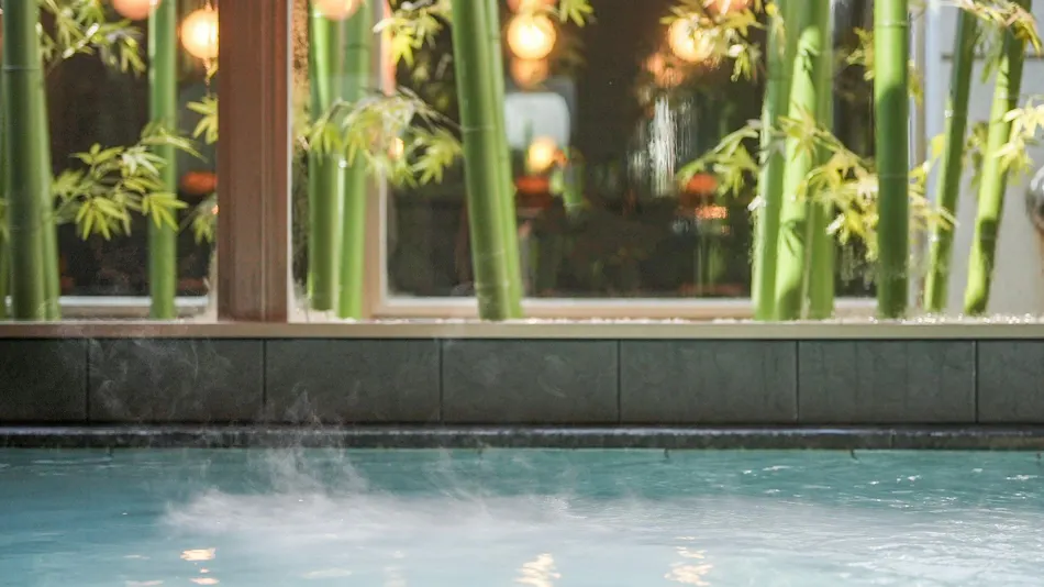 Natural Hot Spring Kagetora no Yu Super Hotel Arai Niigata