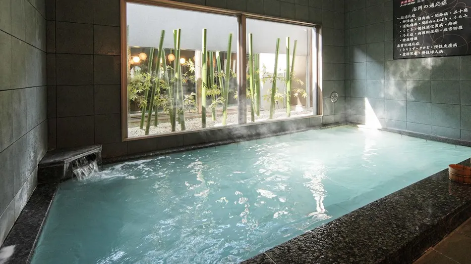 Natural Hot Spring Kagetora no Yu Super Hotel Arai Niigata