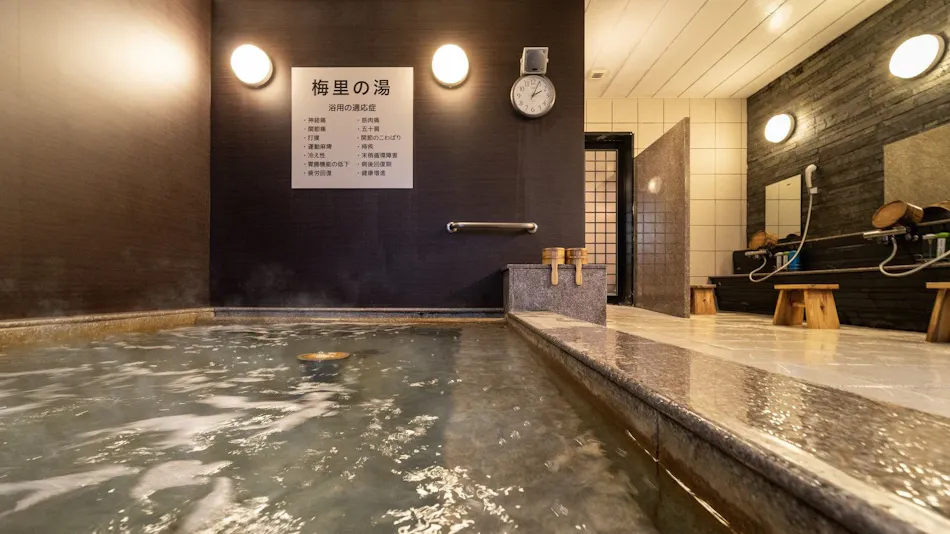 Natural Hot Spring Mairi no Yu Super Hotel Mito