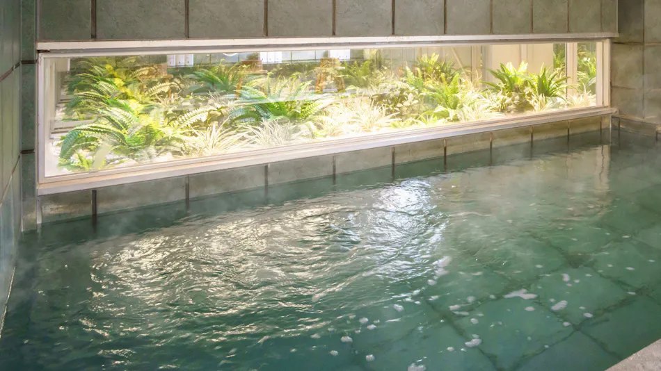 Natural Hot Spring Nagaoka Onsen Ryoma no Yu Super Hotel Kochi Natural Hot Spring