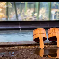 มีผลในการส่งเสริมสุขภาพ ฟื้นฟูความเหนื่อยล้า และช่วยให้ผิวสวย