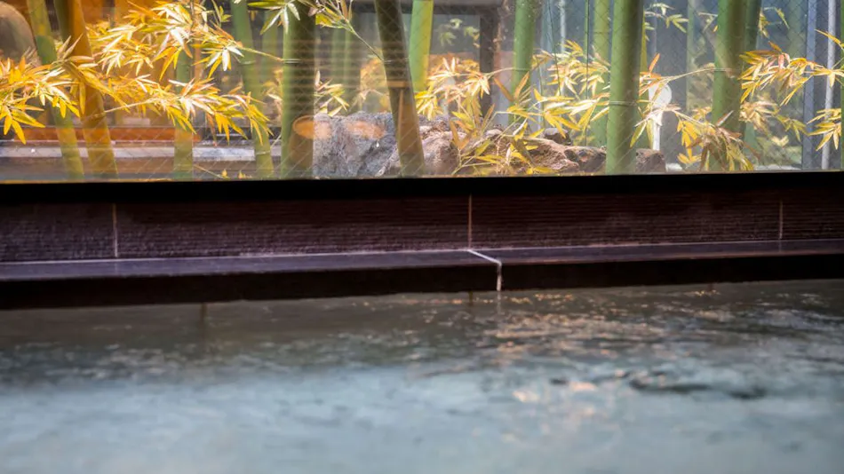 Natural Hot Spring Daisen no Yu Super Hotel Yonago Ekimae
