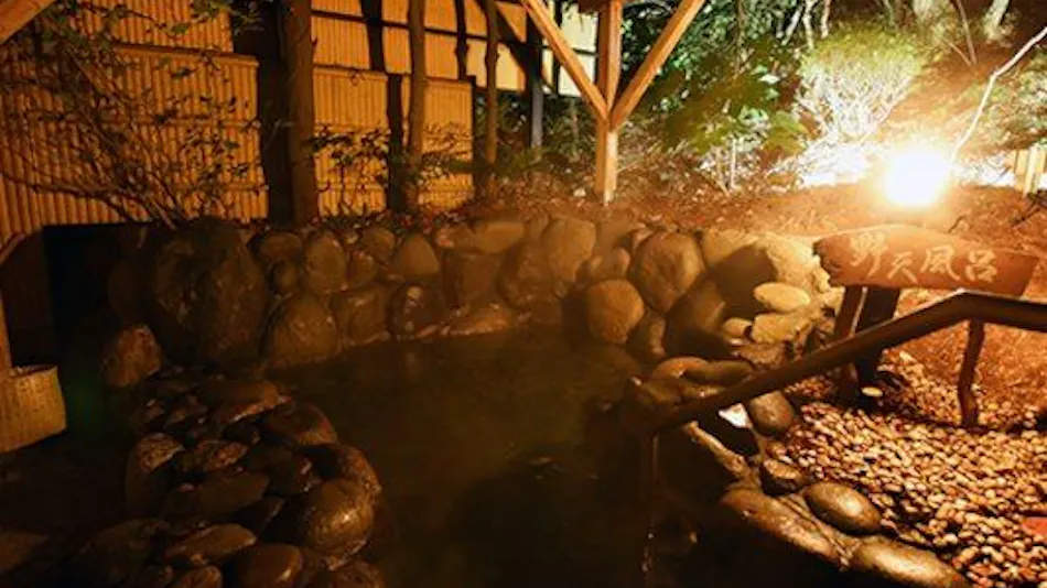 Small Hot Spring Inn Mitaniya