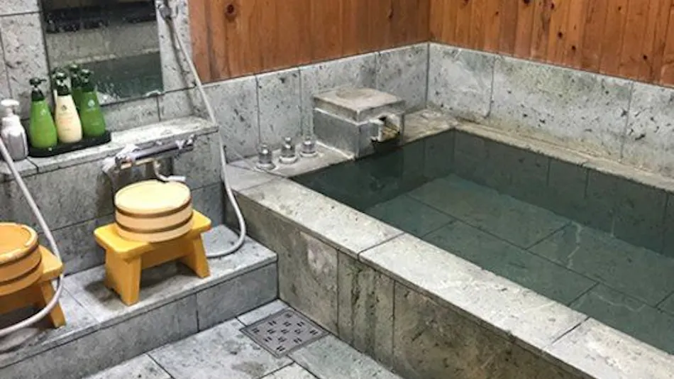 Small Hot Spring Inn Mitaniya