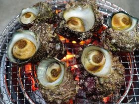 ミネルヴァ七尾