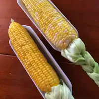 เปรียบเทียบรสชาติระหว่างข้าวโพดโดกิโดกิและโกลด์รัช