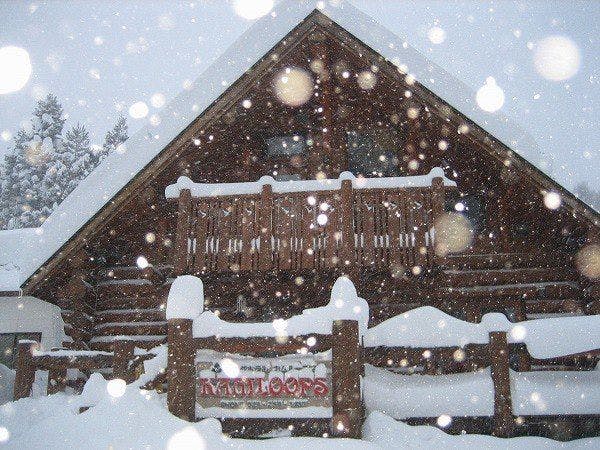 Forest Log Hotel Kamloops