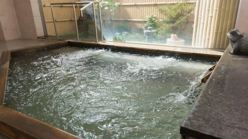 Takayama City Hotel Four Seasons