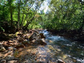 the Kinta Naeba