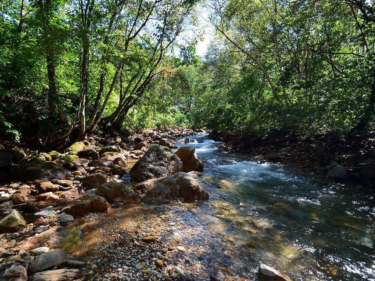 *บริเวณโดยรอบ (ฤดูร้อน)