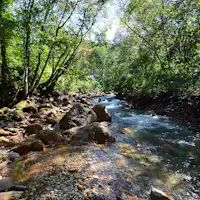 *บริเวณโดยรอบ (ฤดูร้อน)