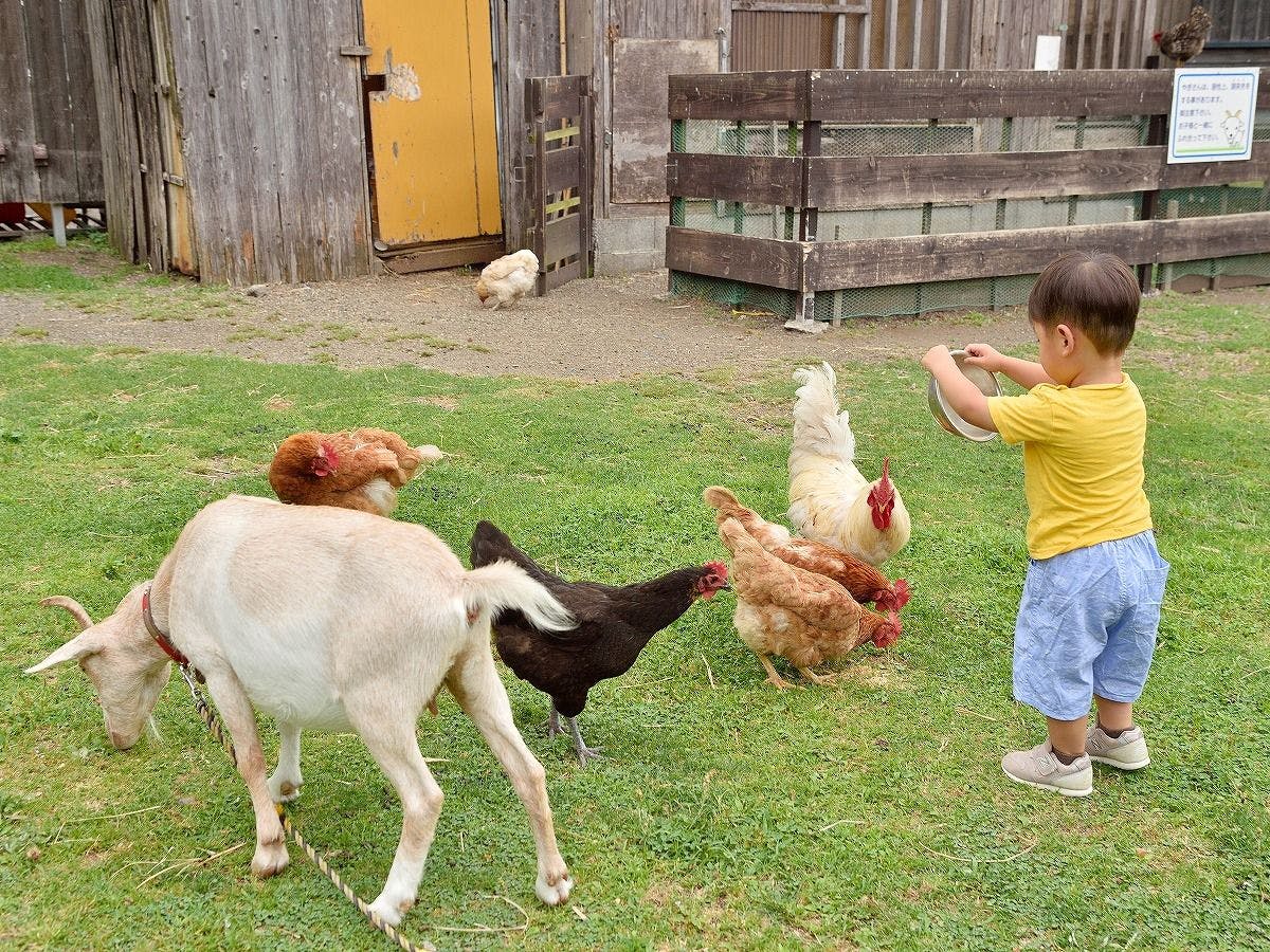 การสัมผัสกับสัตว์ก็เป็นเสน่ห์อย่างหนึ่ง