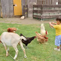 การสัมผัสกับสัตว์ก็เป็นเสน่ห์อย่างหนึ่ง