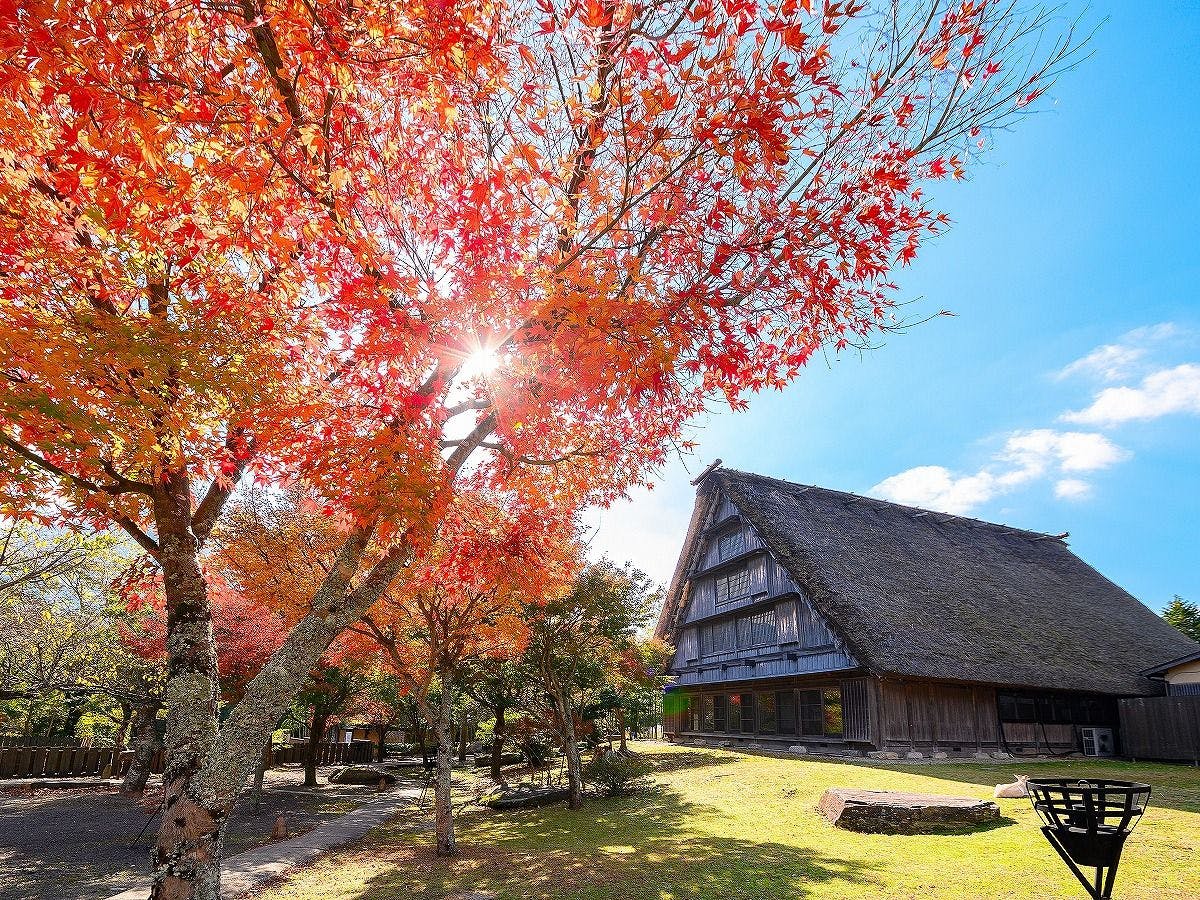 ชิกิอันฤดูใบไม้ร่วง