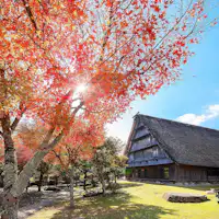 ชิกิอันฤดูใบไม้ร่วง