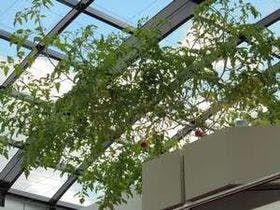 丸二ホテル伊勢