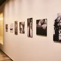 Panel foto Pak Shikou