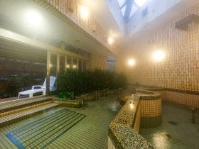 湯～モアリゾート 太山寺温泉 なでしこの湯