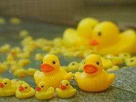 湯～モアリゾート 太山寺温泉 なでしこの湯