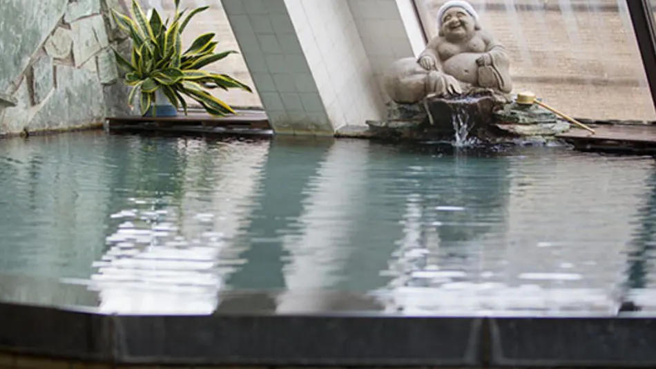 Yamaga Onsen RYOKAN SUMI