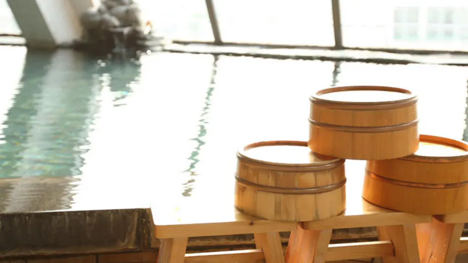 Yamaga Onsen RYOKAN SUMI