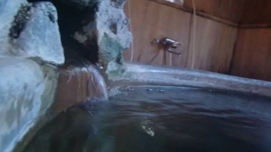 Ryokan Kinokuniya Jinpachi