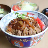 ข้าวหน้าเนื้อพร้อมกับเครื่องเคียง 2 อย่าง, กิมจิ, ซุป และสลัด