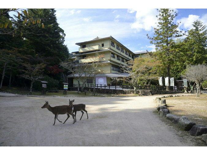 National Lodge Miyajima Mori no Yado