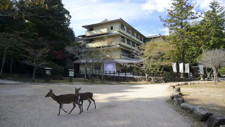 National Lodge Miyajima Mori no Yado