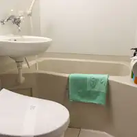 #客室ユニットバス