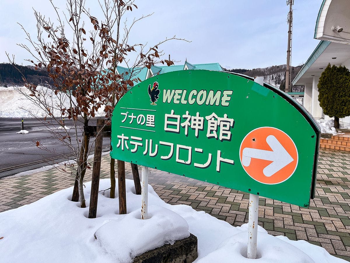 #緑の看板が目印です