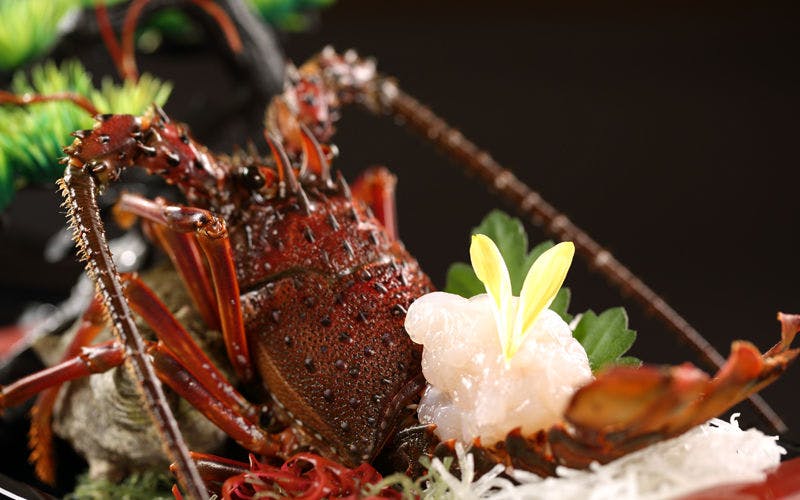 แผนจำกัด - ซาชิมิกุ้งอิเสะ