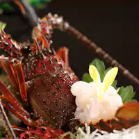 Rencana terbatas - Sashimi lobster Ise