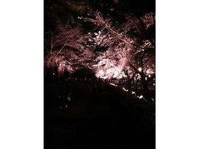 鵜の浜温泉　美味海食　汐彩の湯　みかく