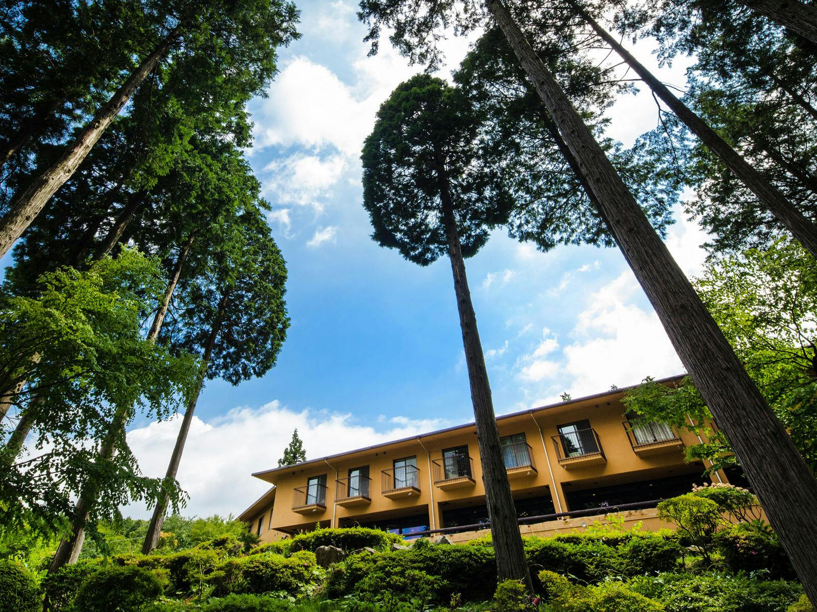 Diamond Hakone Society