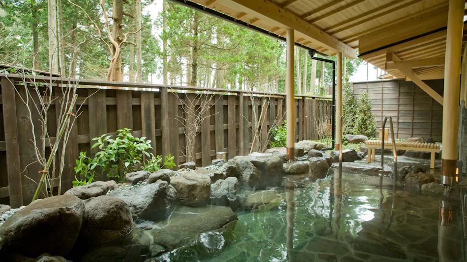 Diamond Hakone Society