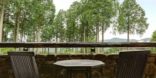 Diamond Hakone Society