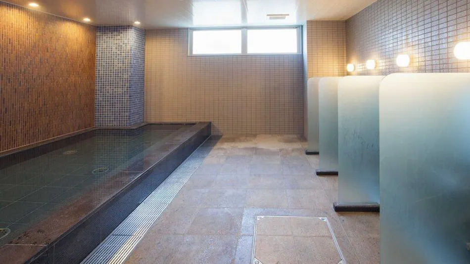 Hotel Aston Plaza Kansai Airport