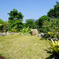 สวนส่วนตัวของซากุระ (ห้องสไตล์ญี่ปุ่น)