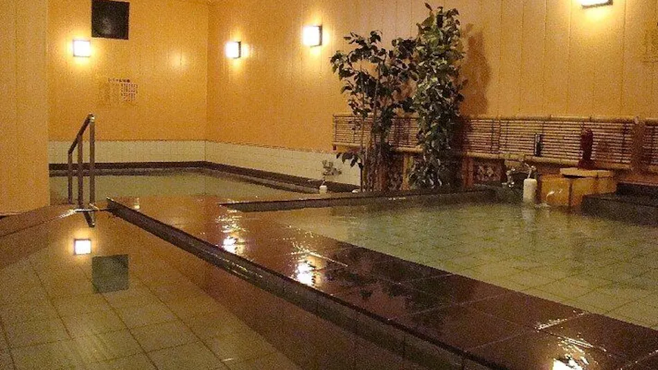Business Hotel Takami